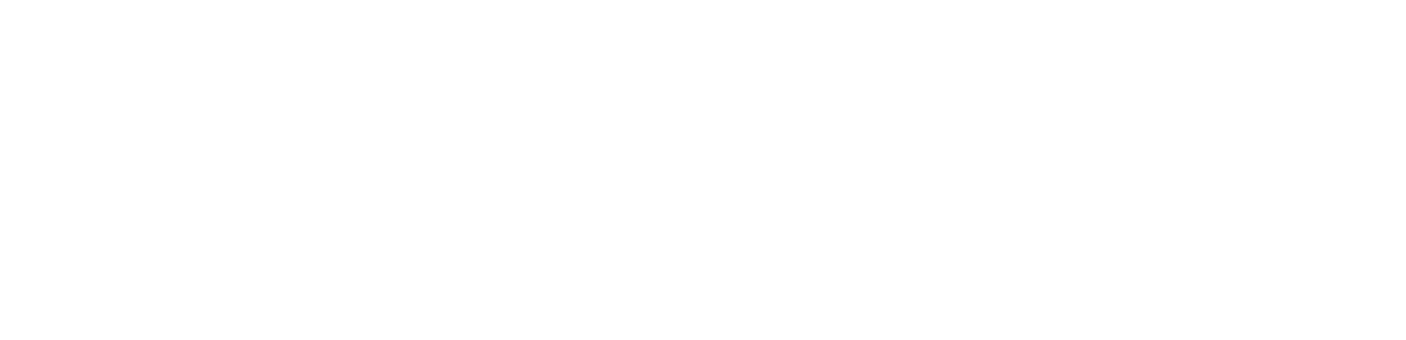 NEOTES wordmark